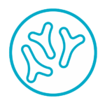 icon_0003_Layer-11