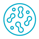 icon_0012_Layer-3