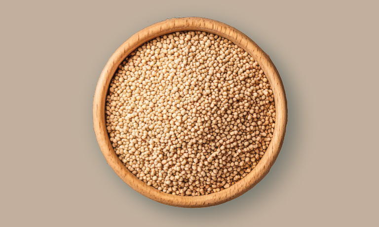 ingredient with bg_0004_Layer 8