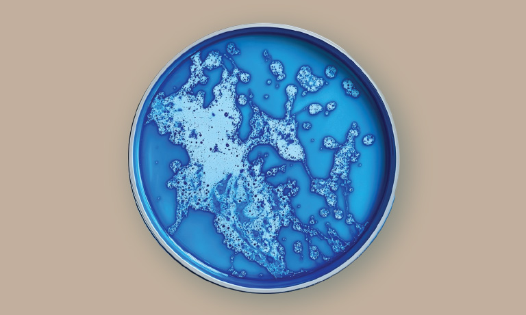 ingredient with bg_0006_Layer 6
