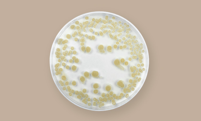 ingredient with bg_0007_Layer 5